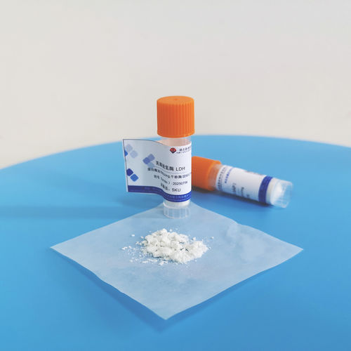 Latest company news about 필요에 따라 조효소 용액, 순수 효소 용액, 동결 건조 분말을 올바르게 선택하는 방법은 무엇입니까?