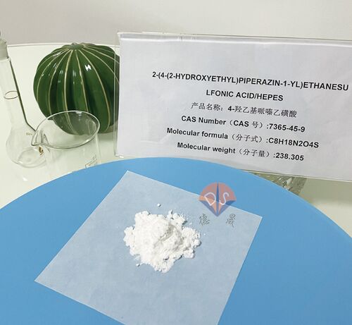 Latest company news about HEPES 버퍼: 광견병 바이러스 검출의 '보이지 않는 보조자'