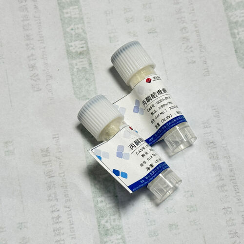 Latest company news about 보호 효소 활동: 효율적인 바이오 카탈리틱 암호를 잠금 해제