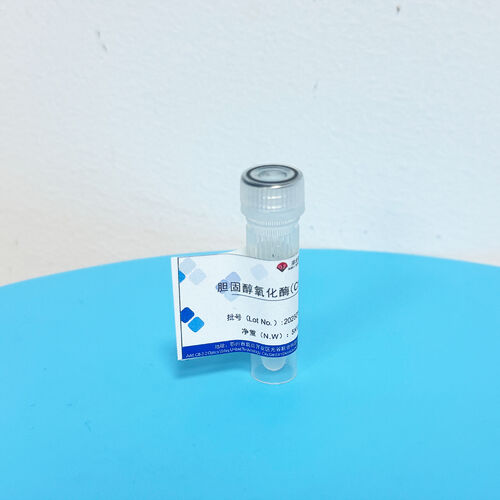 Latest company news about 효소 준비 보존 비밀: 촉매 활동의 과학적 보호