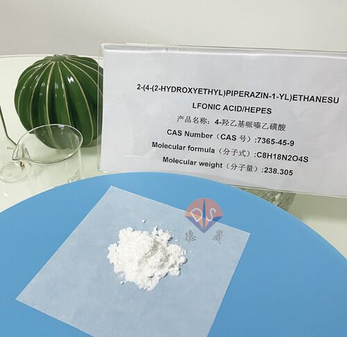 Latest company news about HEPES 버퍼: 유리화 및 블라스토시스트의 냉방에 새로운 장을 열고