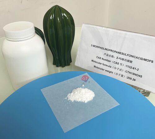 Latest company news about 인간 성상세포의 시험관 내 배양을 위한 MOPS 완충액